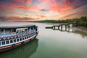 sunderban tour packages