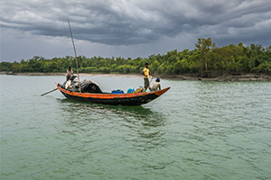 sundarban resort