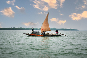 sundarban tourist place