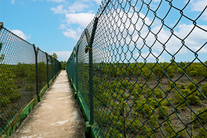 advencher resort in sundarban