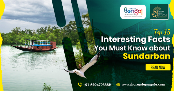 Top 15 Interesting Facts You Must Know about Sundarban